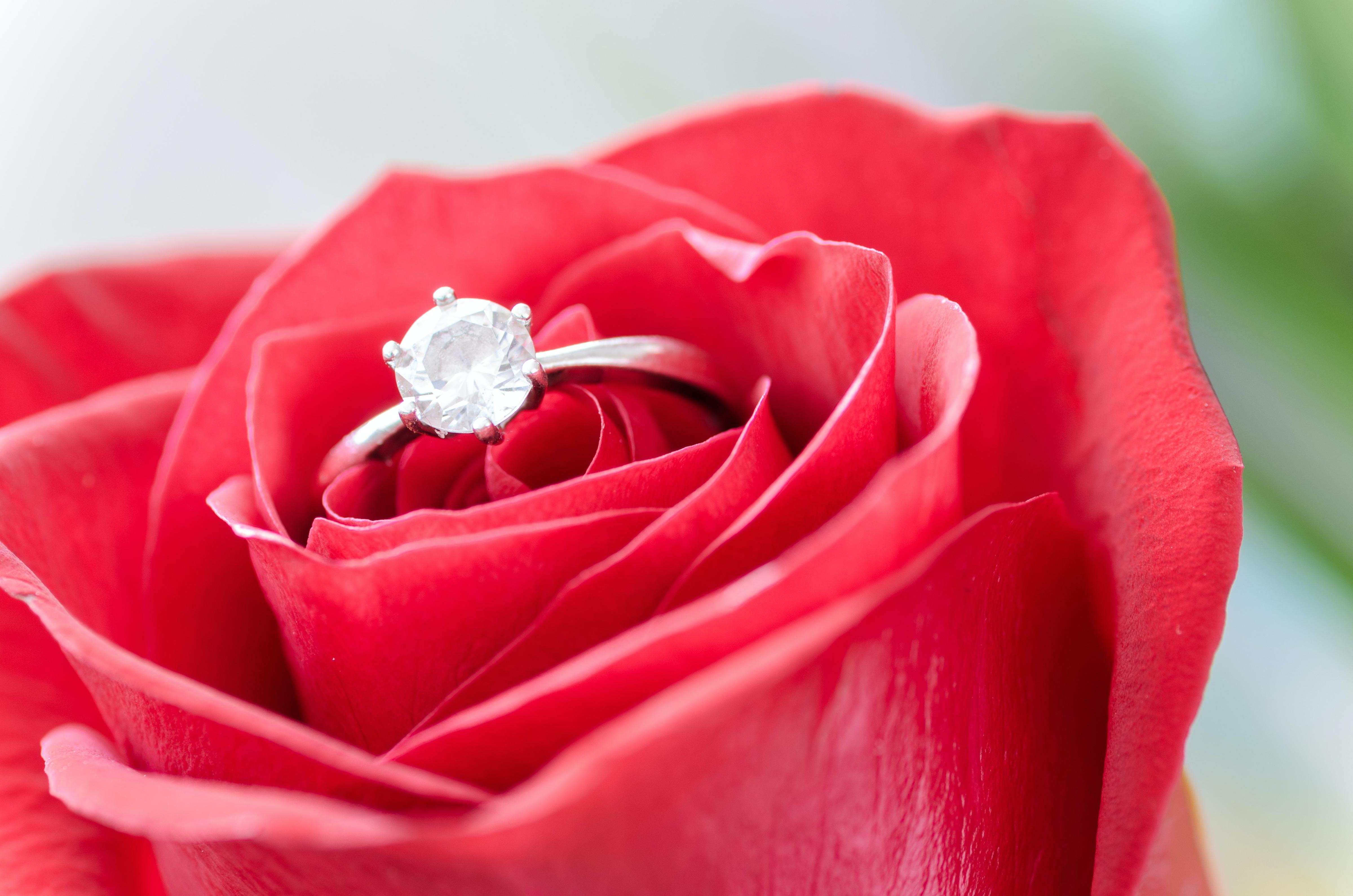 Celebrity Engagements: Here's Who Got Engaged Super Quick