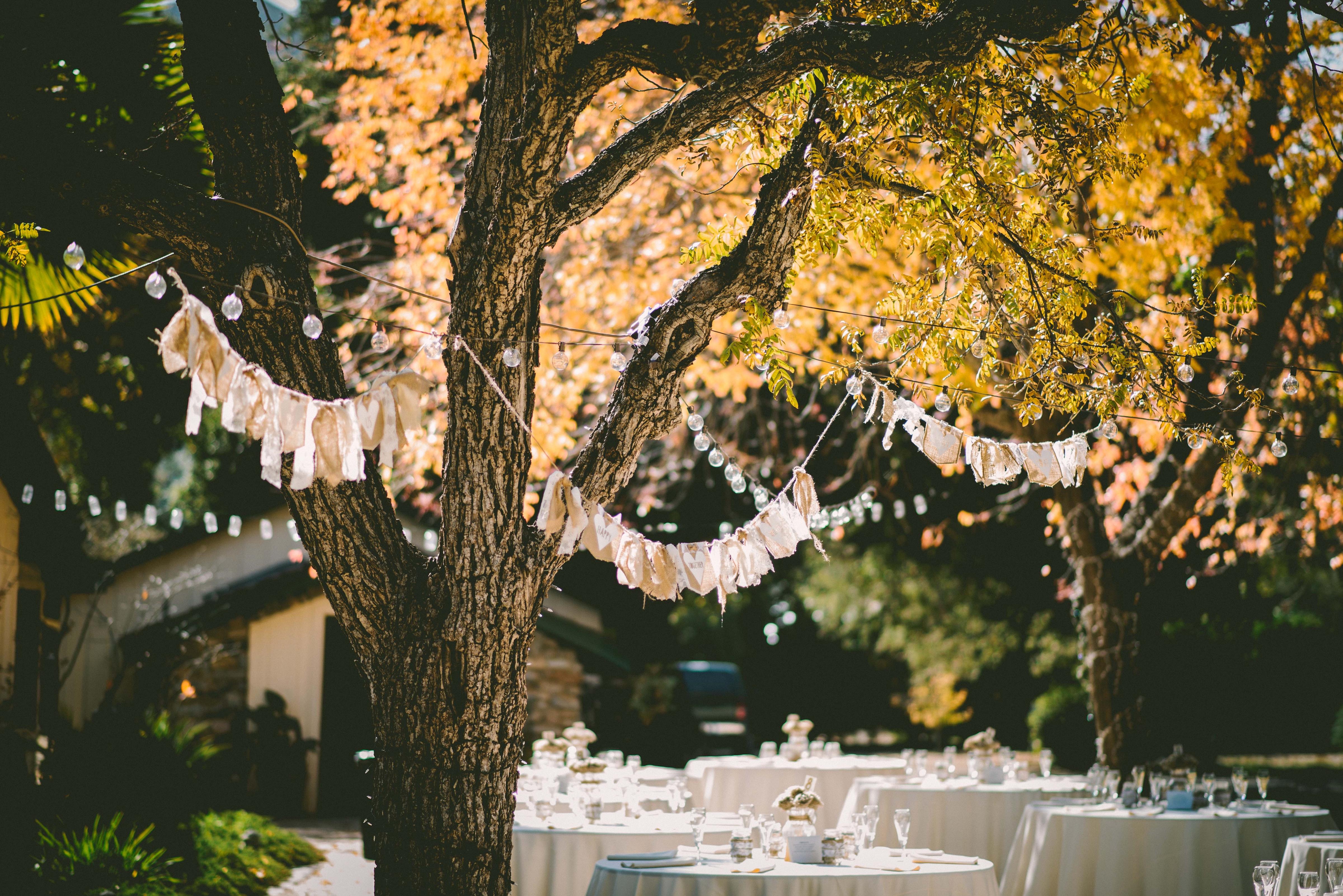 10 Backyard Weddings That'll Make You Want to Get Hitched at Home