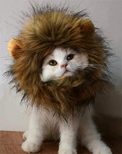 9 Halloween Costume Ideas for Your Furry Friends