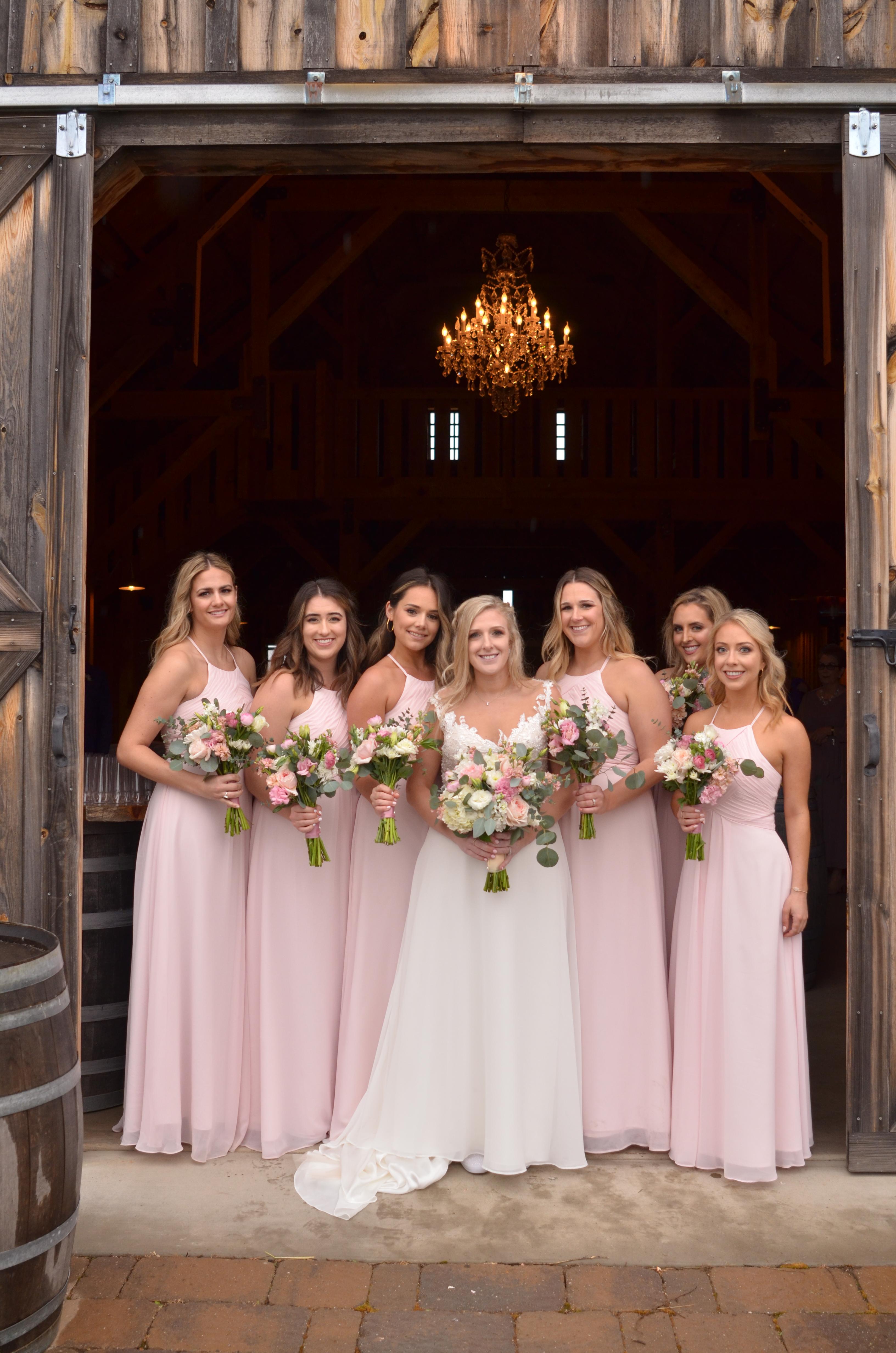 Bride and Bridesmaids
