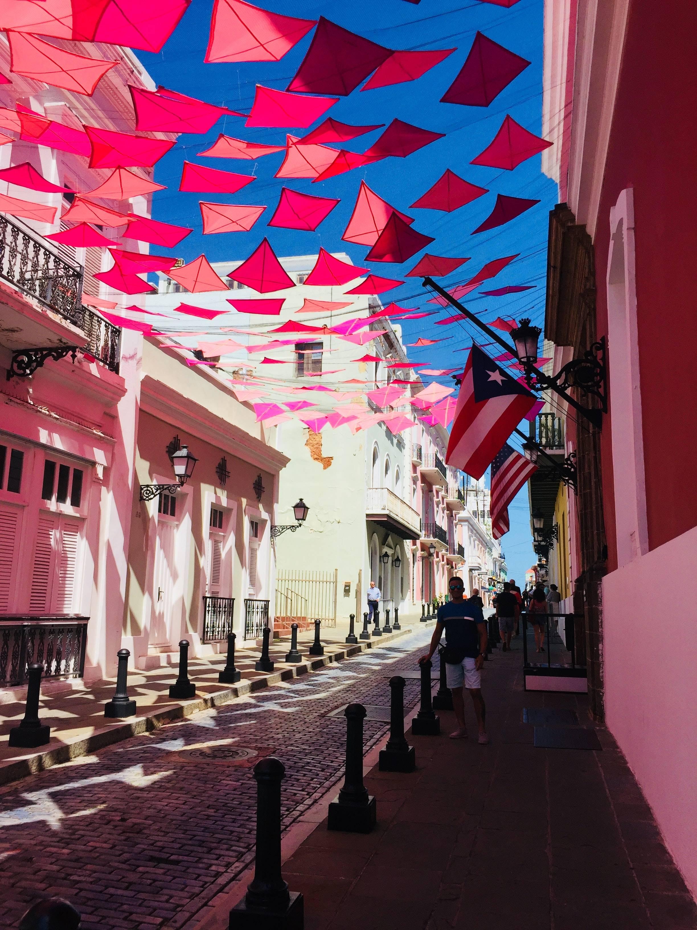 Photo by Ramiro Collazo on Unsplash