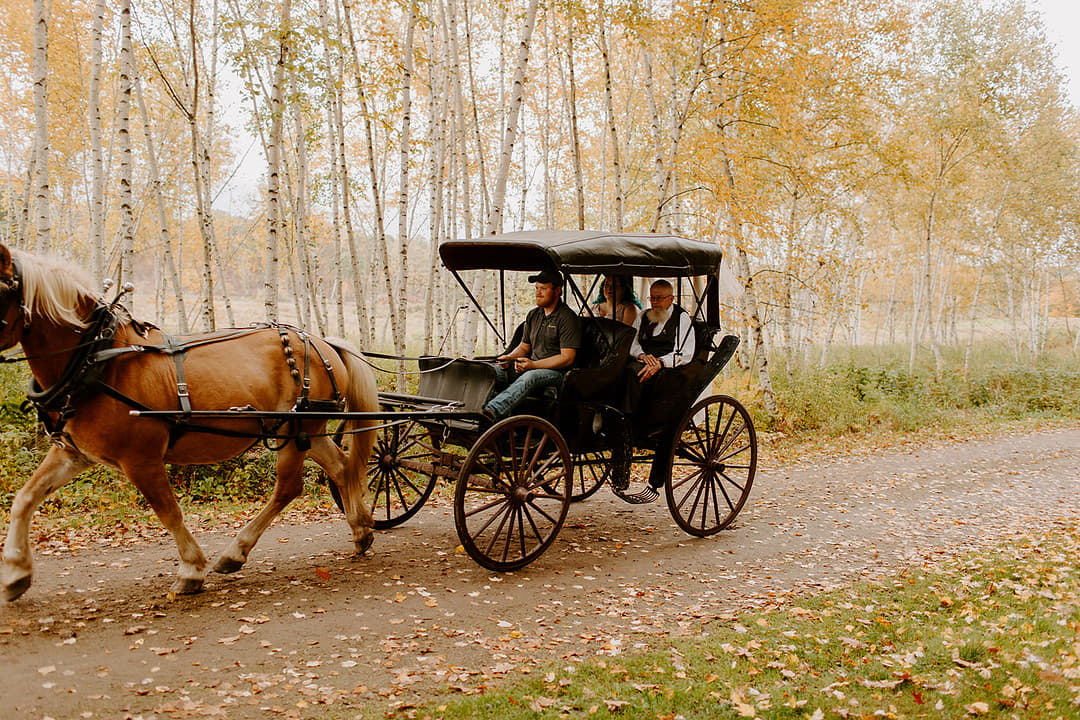 Horse Carriage