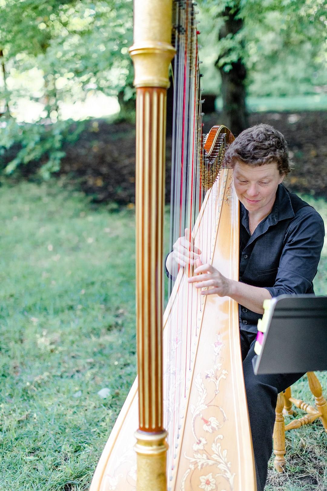 Harp