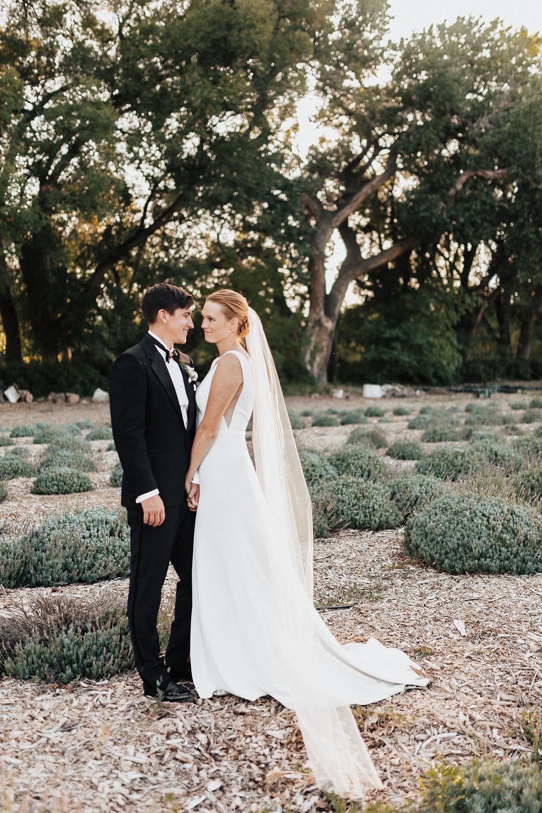Bride and Groom