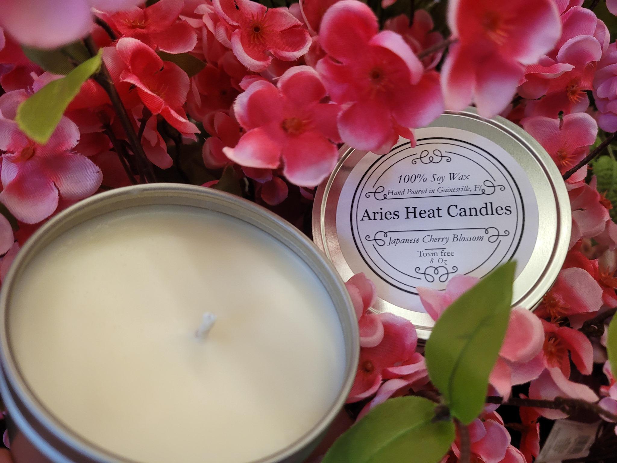 Aries Heat Candles portfolio 2