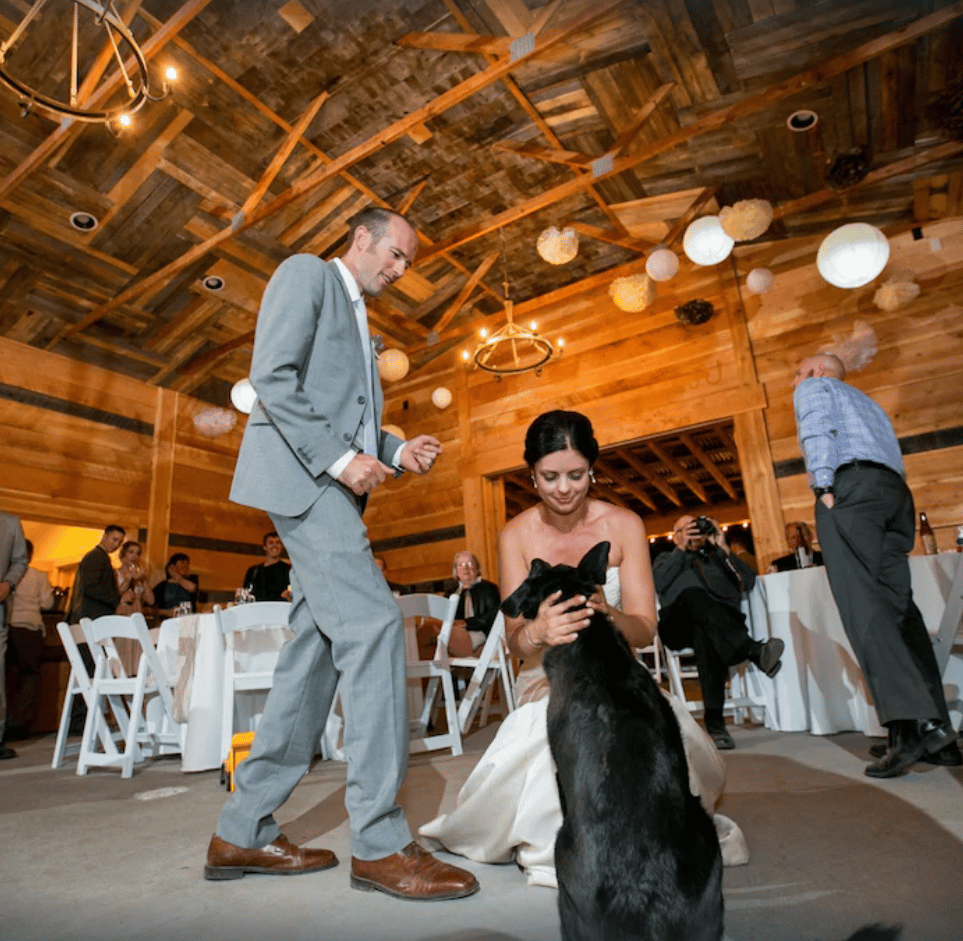 The Yellowstone House portfolio 2
