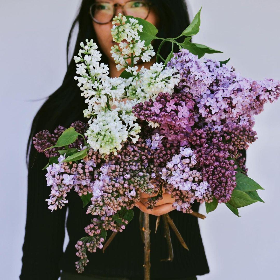 Caroline Reusen Flowers portfolio 3