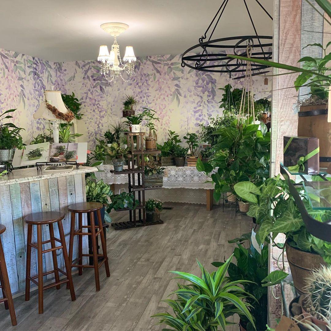 Little Green House Florist