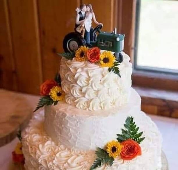 Fancy Cakes by Staci portfolio 2