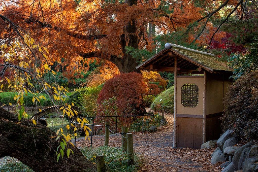 Brooklyn Botanic Garden portfolio 2