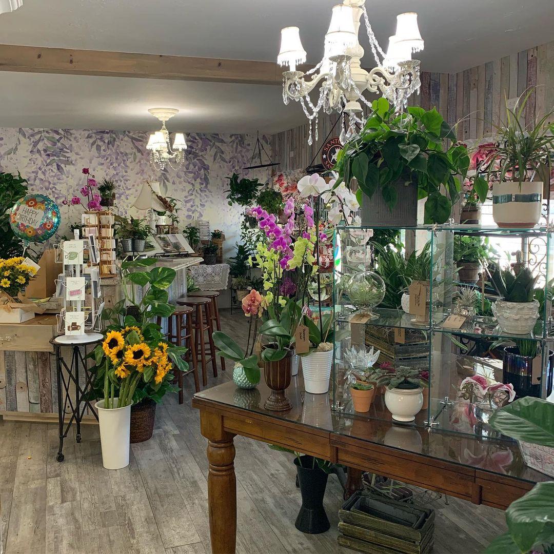 Little Green House Florist portfolio 1