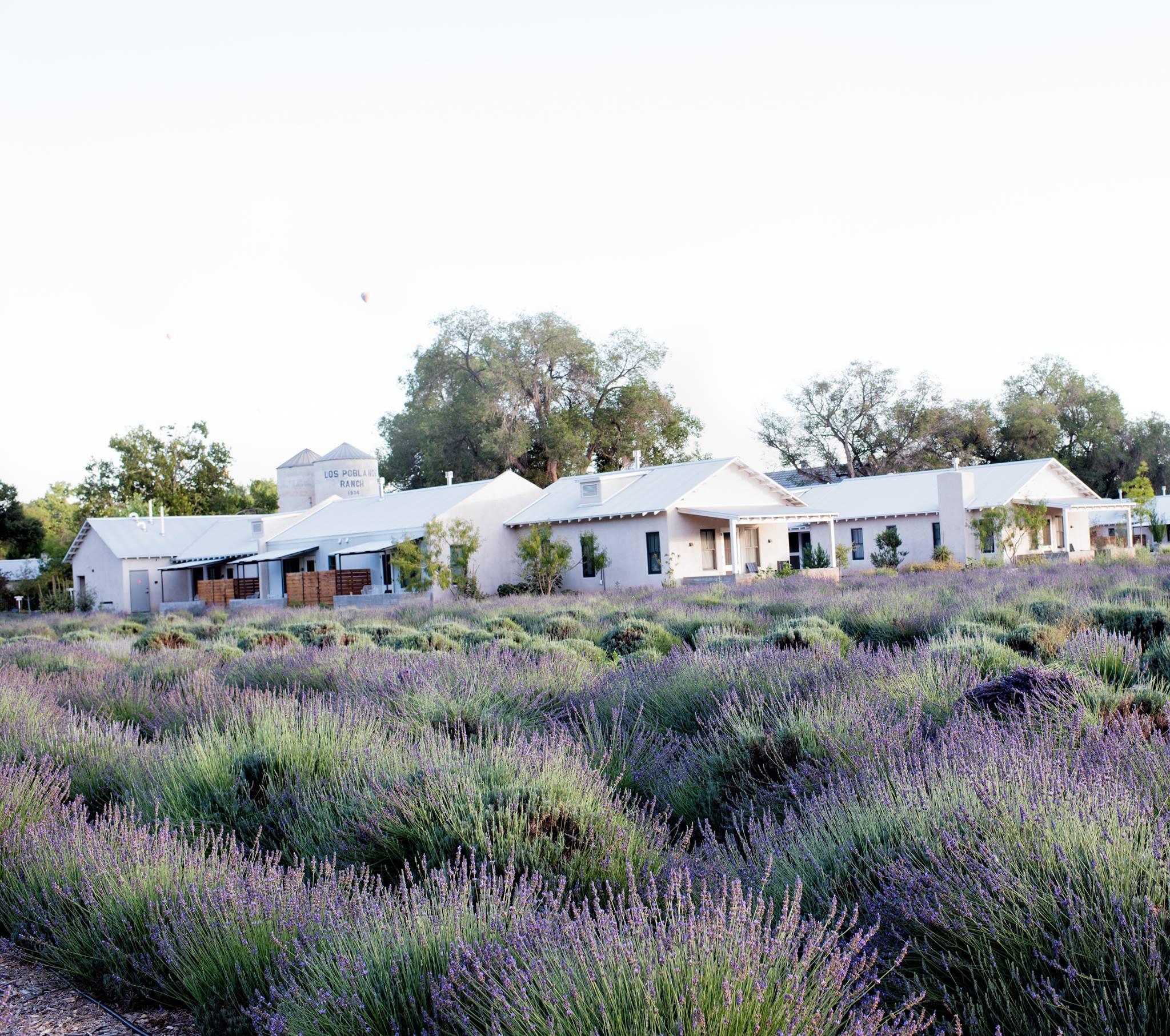 Los Poblanos Ranch portfolio 2
