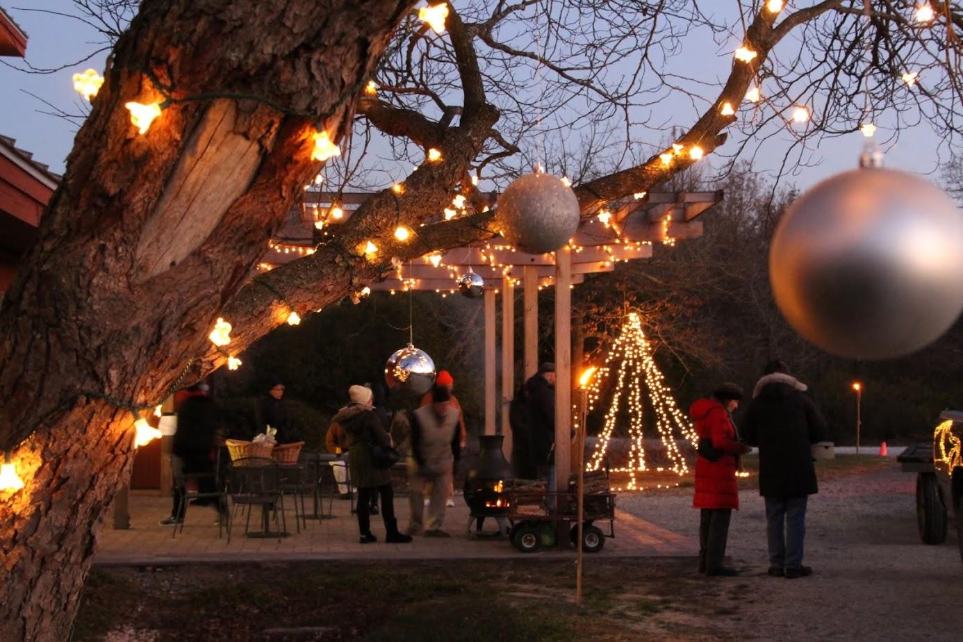 Adkins Arboretum