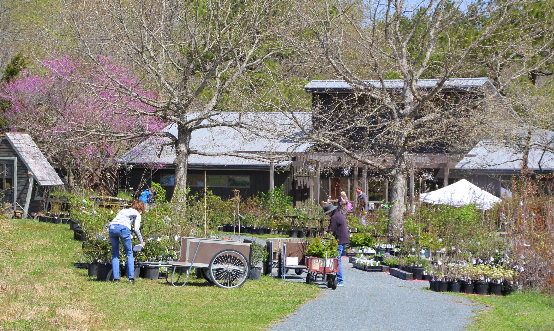 Adkins Arboretum portfolio 5