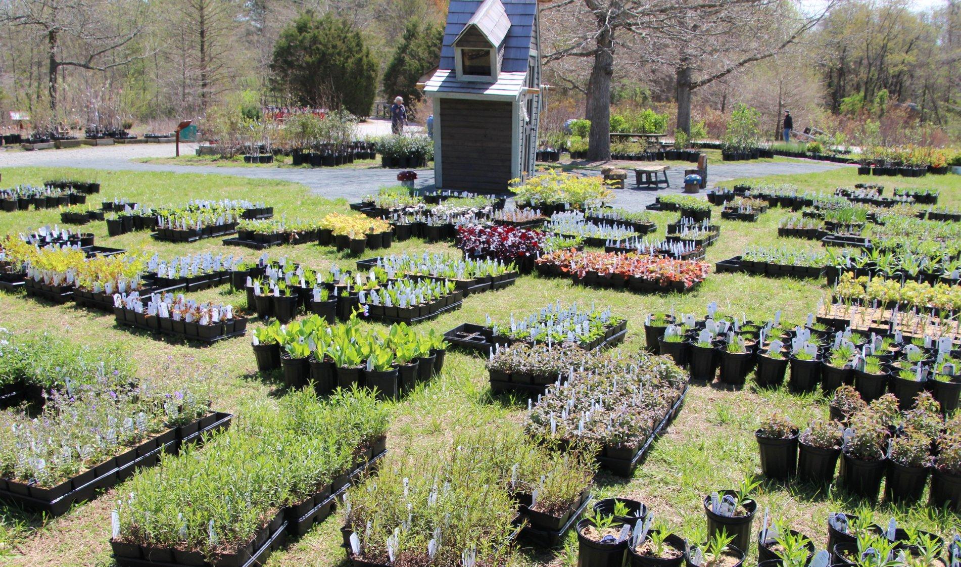 Adkins Arboretum portfolio 4