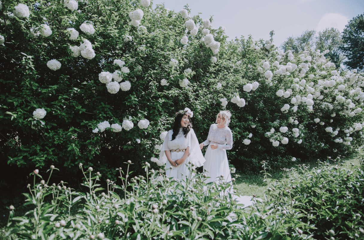 Wollam Gardens portfolio 3