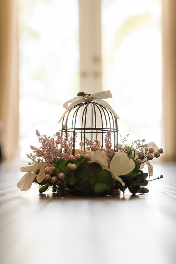 Bird Cage