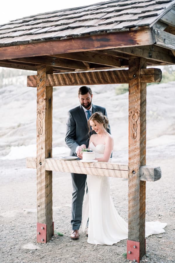 Cake Cutting