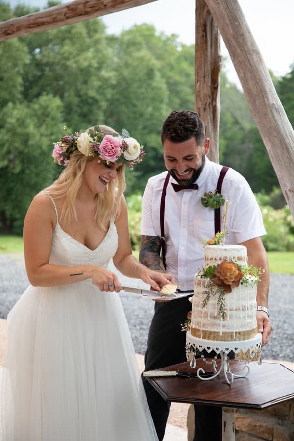 Cake Cutting