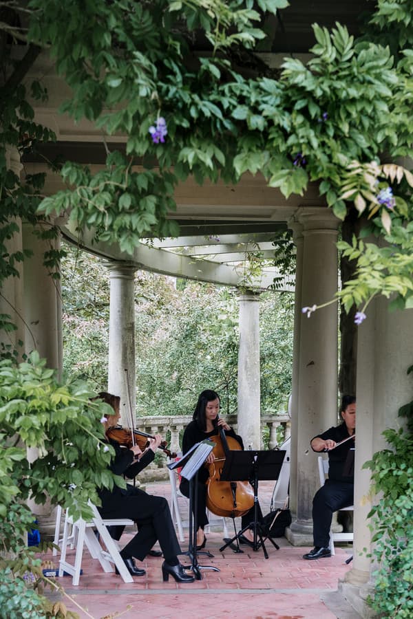 Musician