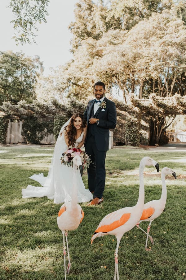 Zoo Wedding in Santa Barbara by Tayler Suterko