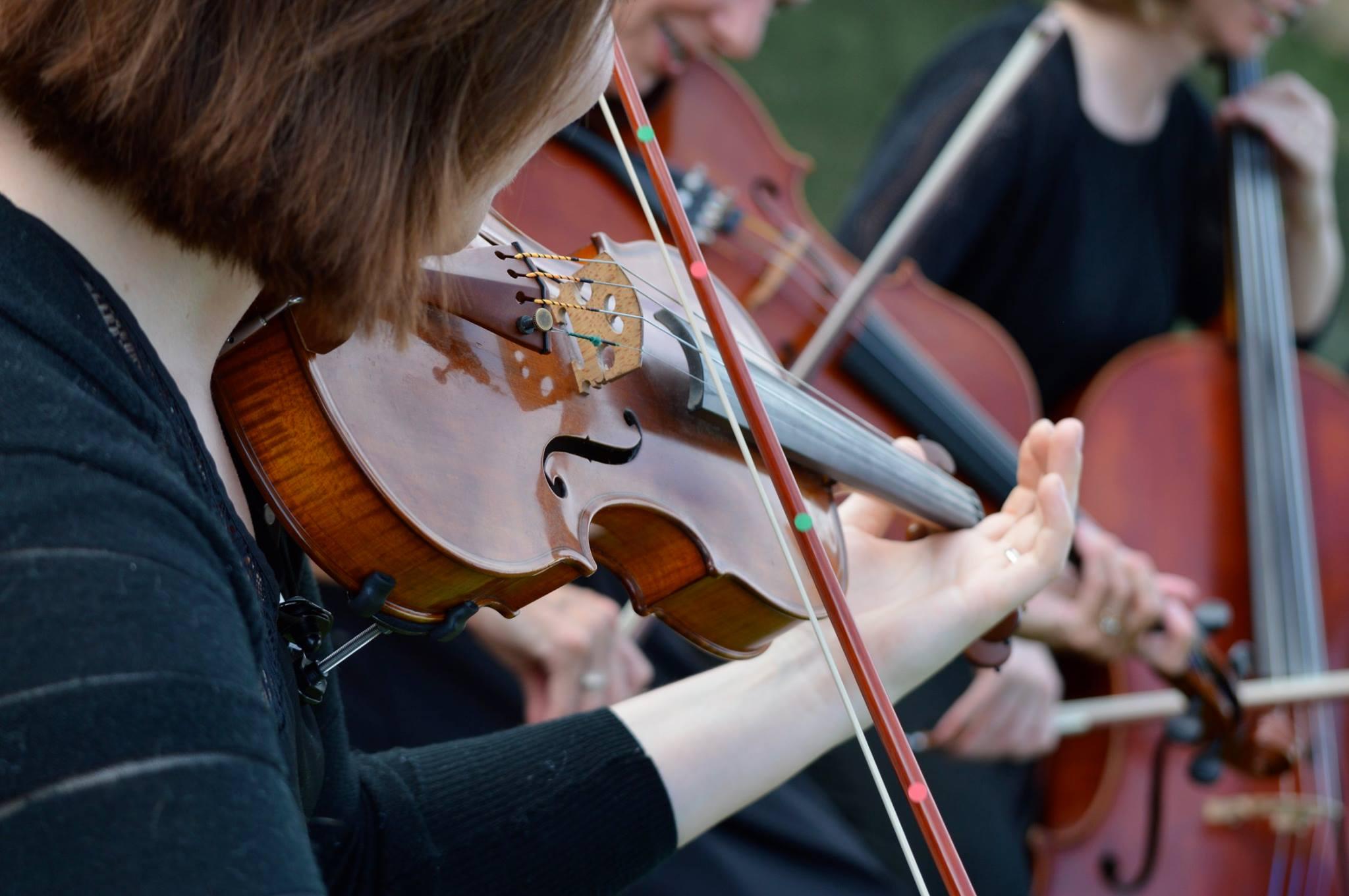 Celebration String Quartet portfolio 2