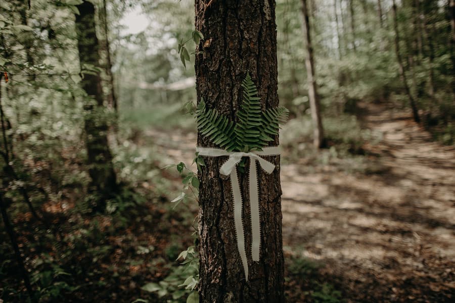 Forest Meadow Intimate Wedding in Milton by Aline Marin photo 3