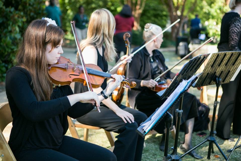 Celebration String Quartet portfolio 1