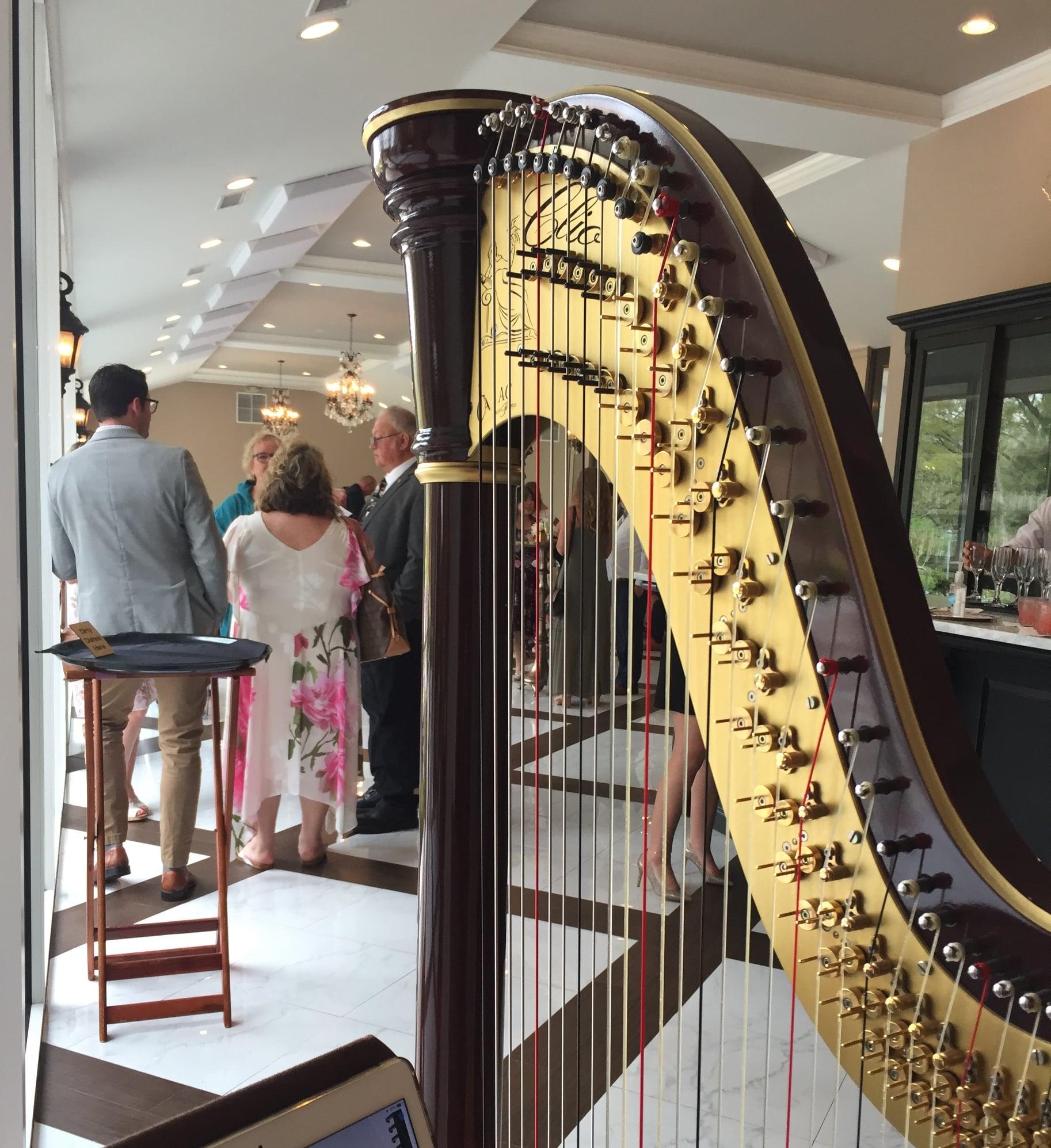 The Atlanta Harpist portfolio 2