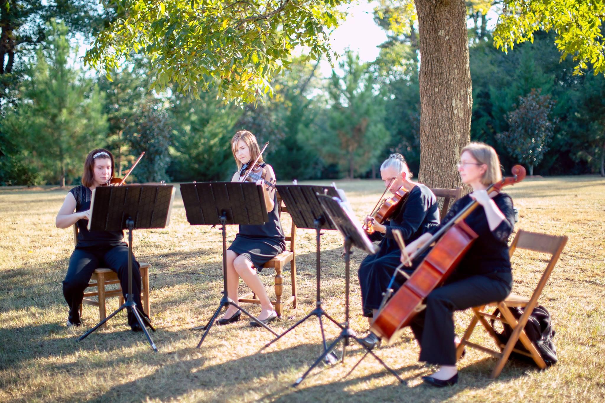Celebration String Quartet portfolio 3