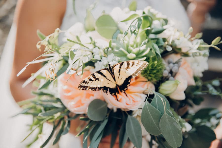 Summer Elegance Mansion Wedding in Freeport by Allisha Olechovski photo 4