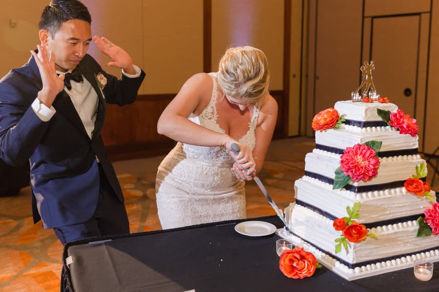 Cake Cutting