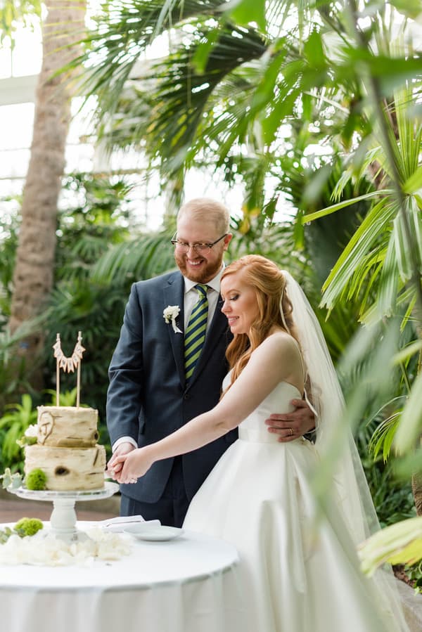 Cake Cutting