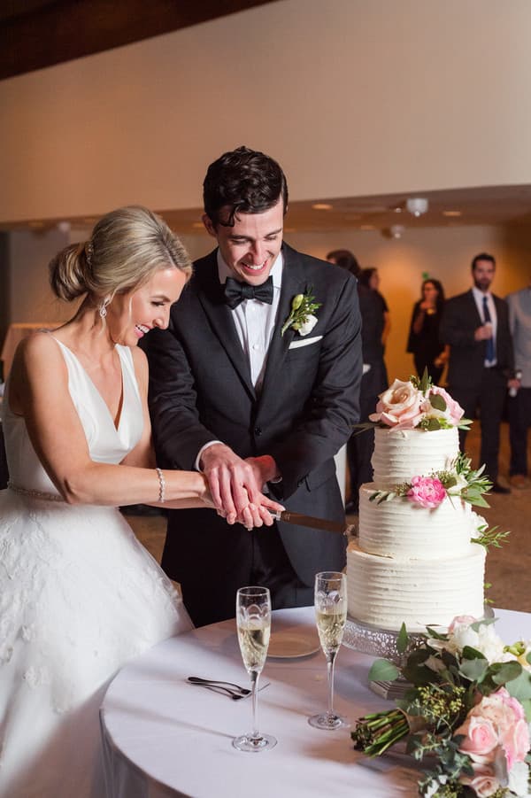 Cake Cutting