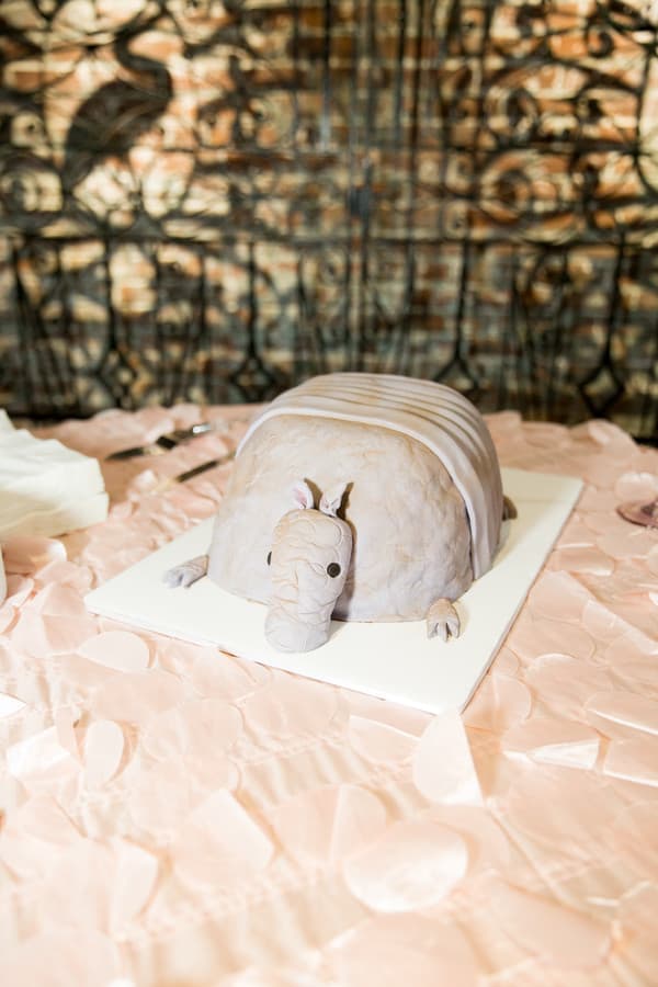The Cake