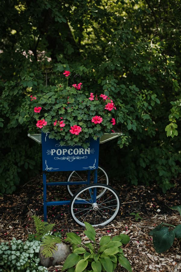Popcorn Cart