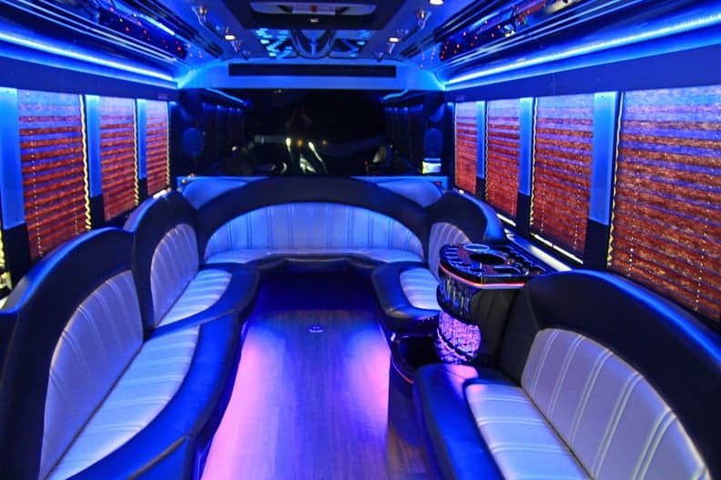 A1 Mr. Limo portfolio 1