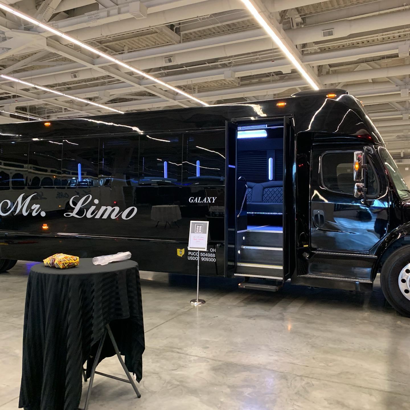 A1 Mr. Limo portfolio 2