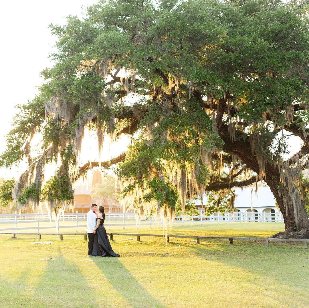 Magnolia Photography