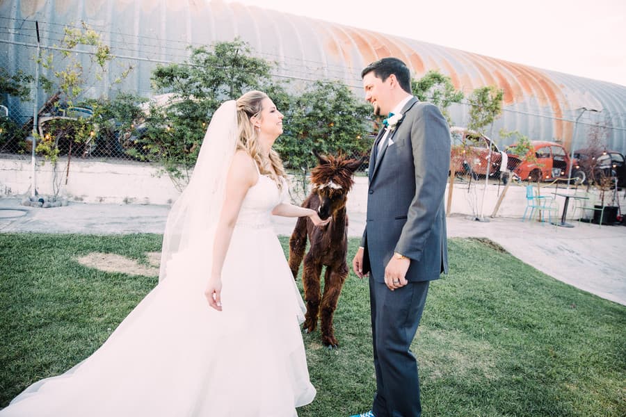 Newlyweds