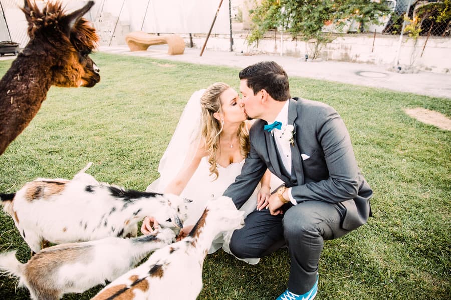 Industrial Wedding with Farm Animals in Las Vegas by Alycia Moore