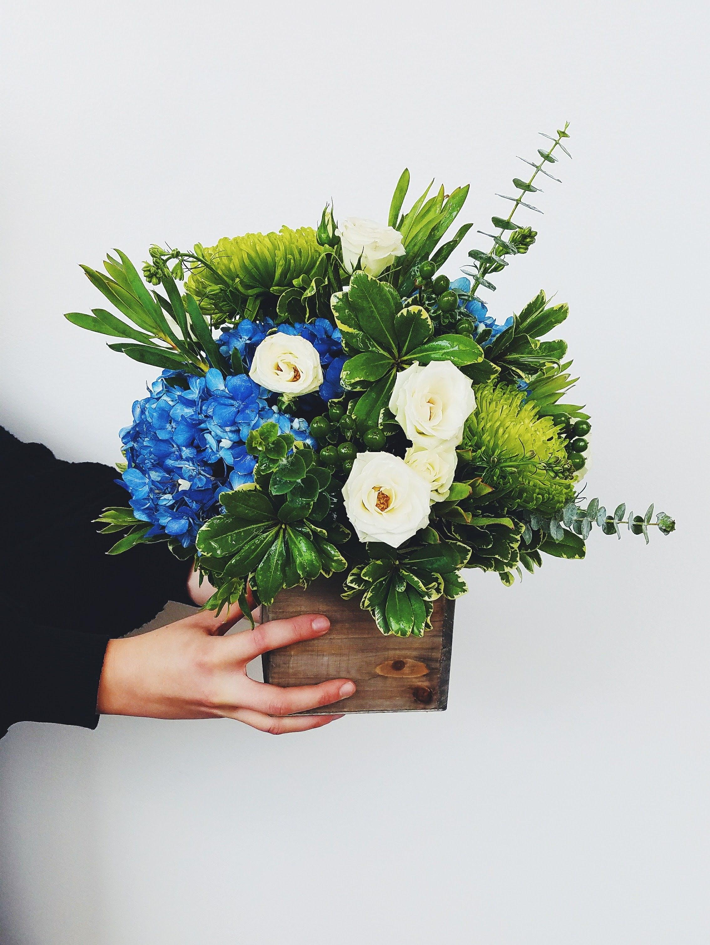 Everything You Need to Know About Hydrangeas for Your Wedding