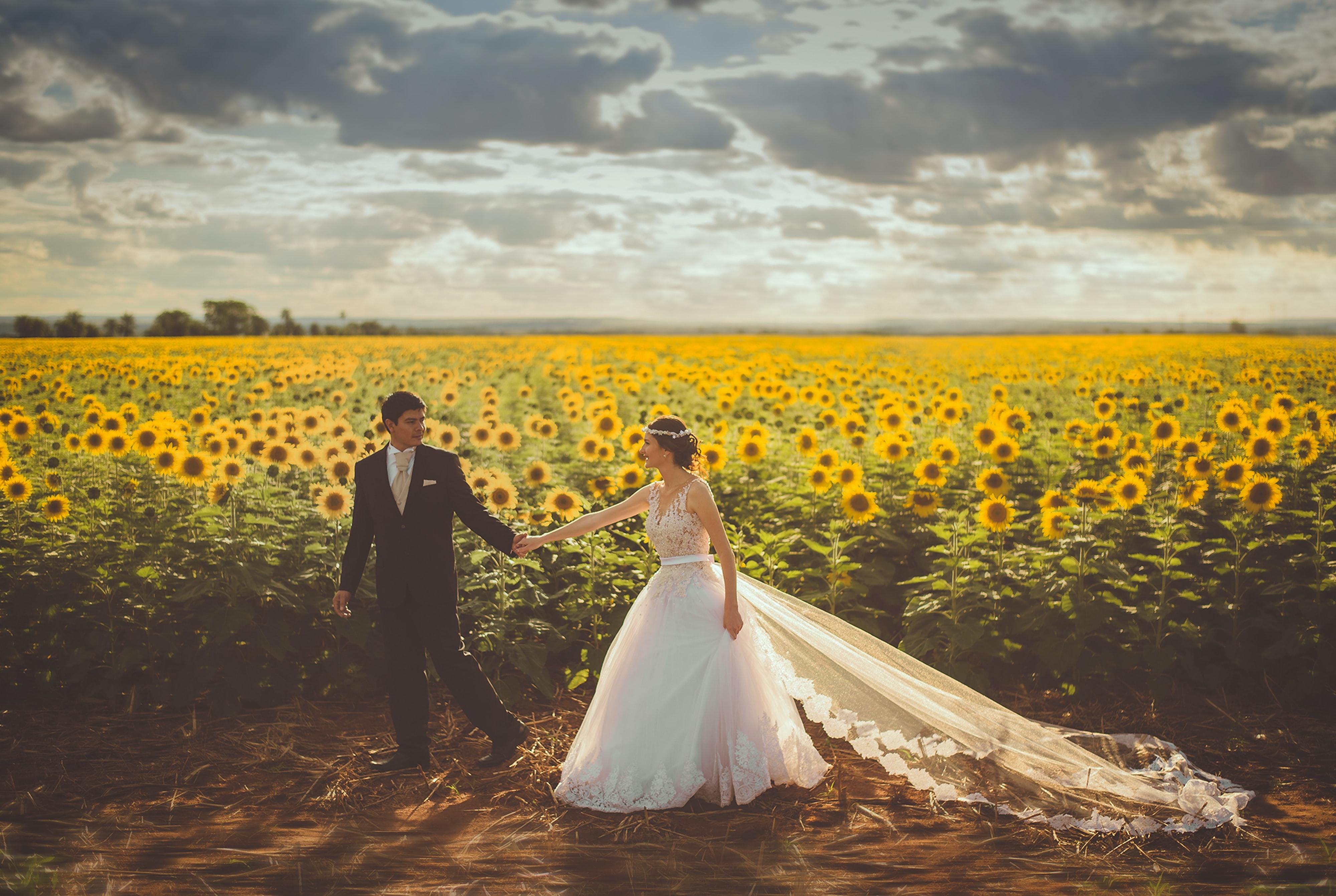 Everything You Need To Know About Sunflowers For Your Wedding