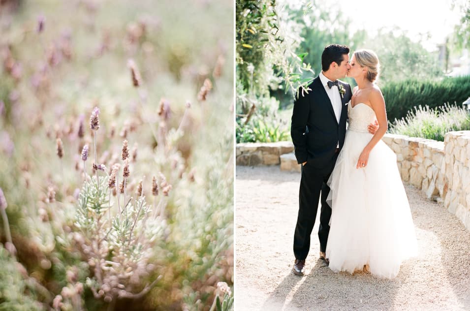 Lavender Amp Twine portfolio 3