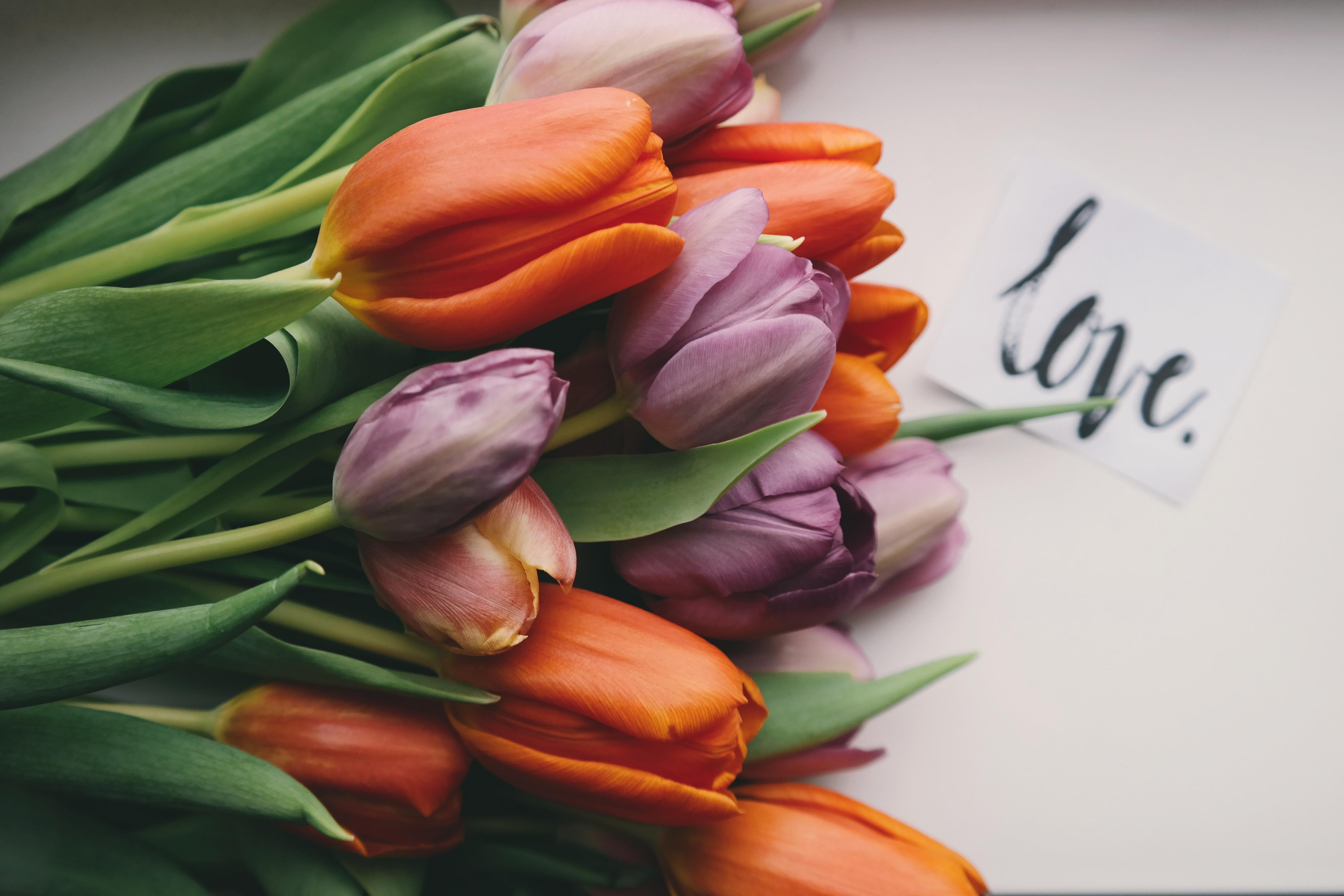 Everything You Need to Know About Tulips for Your Wedding