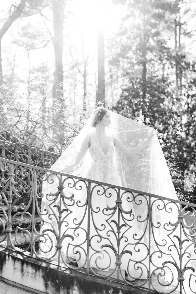 Sweet Williams Photography portfolio 4