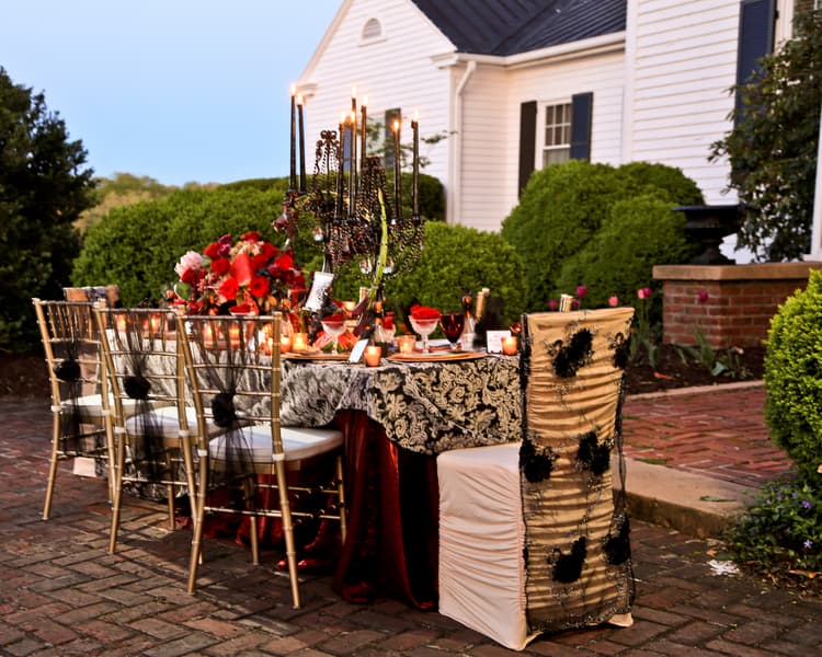 Southern Gothic Wedding in a Virginia mansion 5