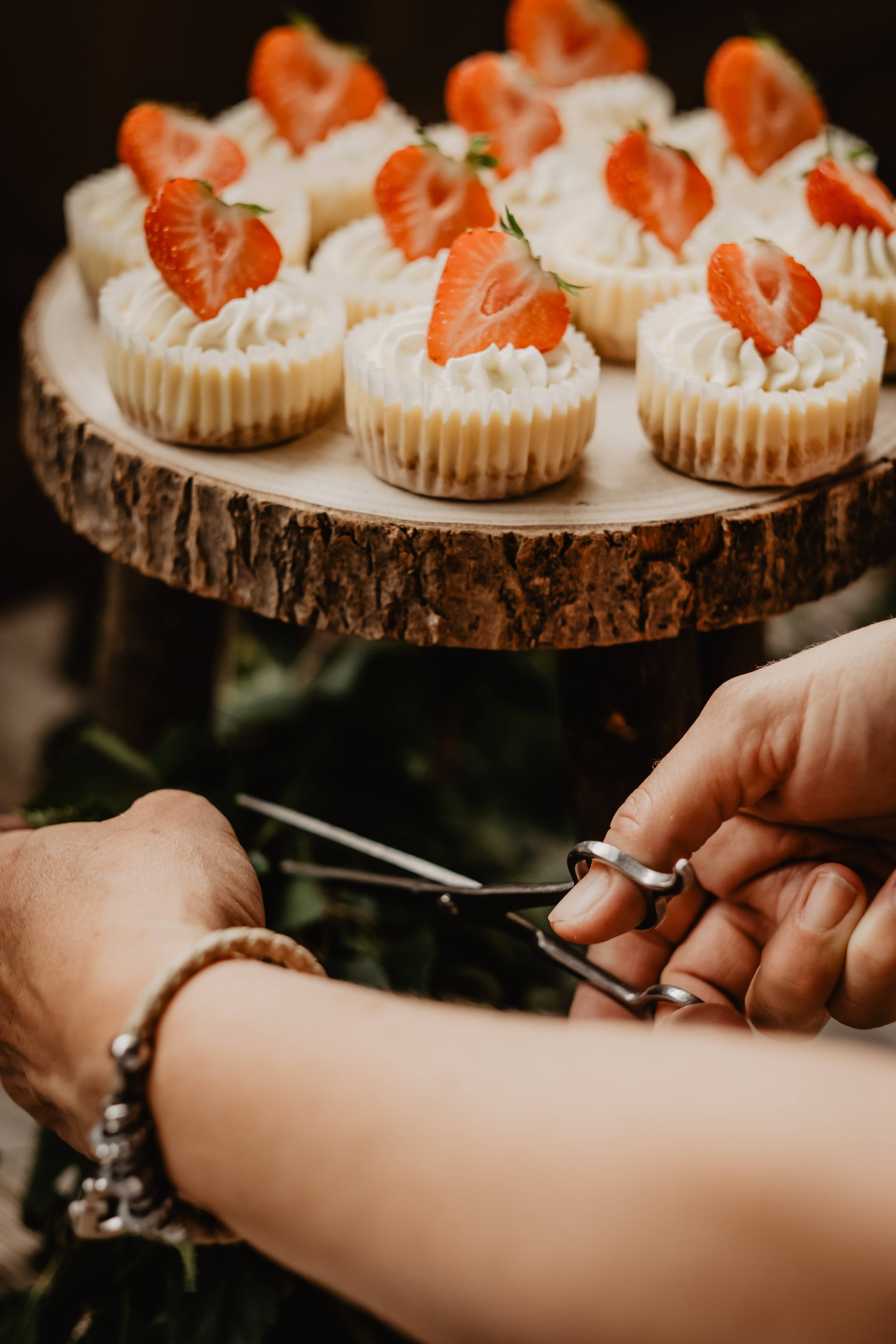 Photo by Victoria Priessnitz on Unsplash