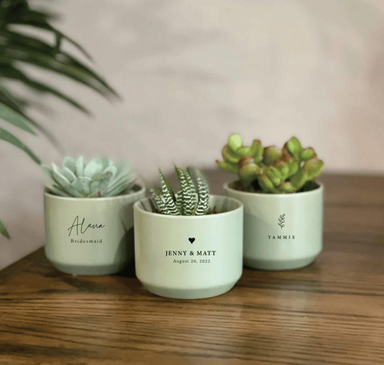 Personalized Succulent