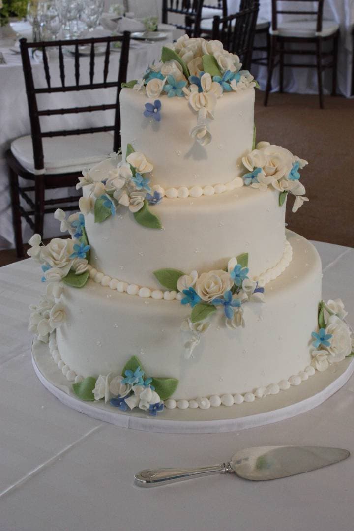 Sweet Lisa's Cakes portfolio 2